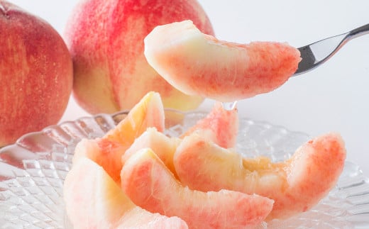 【熊本県】熊本県産 白桃 約1kg (5〜7玉) 【2026年5月下旬発送開始】 モモ もも 桃 くだもの 果物 フルーツ 国産