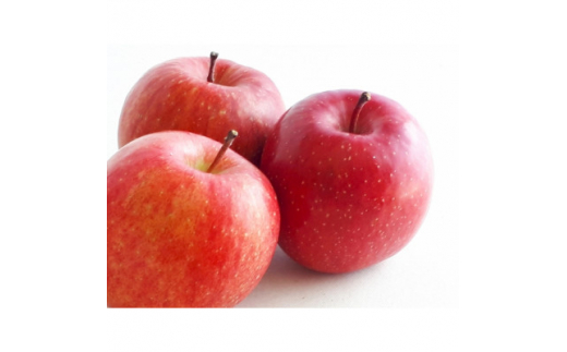 y쌧sz2026Nt[c 쌧Y 񂲁@Vimh`F 5kg(10`18ʒx)_  ь ʕ  t[c Vimh`F 쌧 Yn  