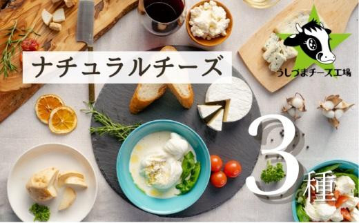 【静岡県静岡市】うしづまチーズ工場の、ナチュラルチーズ3種セレクト! モッツァレラチーズ ブルーチーズ 酸凝固ソフトタイプ 静岡 牛妻■