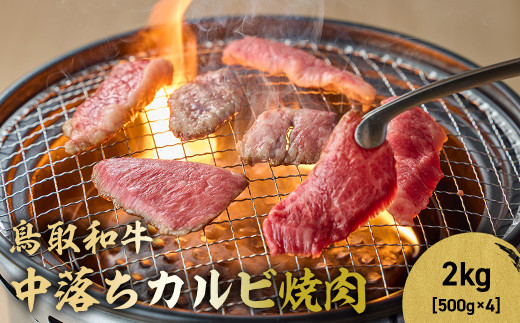y挧qgsza Jrē 2kg ( 500g × 4 ) Y uh  Ă ē a јa  Jr o BBQ Ⓚ 挧 qgs KR1490