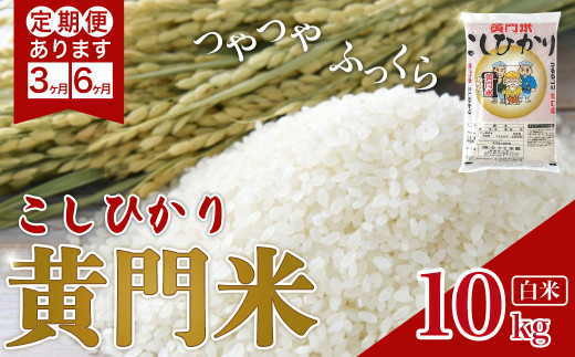 【令和6年産】選べる 定期便 3カ月 6カ月 黄門米 コシヒカリ 白米 10kg | 茨城県産 常陸太田市 タツミ米穀 コシヒカリ こしひかり 10kg  10キロ 米 こめ コメ お米 白米 精米 お取り寄せ 贈答 人気 ランキング ごはん 贈り物 10キロ 風味 甘い 米どころ ブランド米 ...