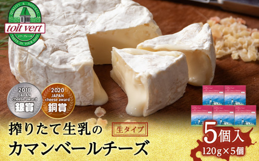 カマンベールチーズ 120g（生） 5個 カマンベール チーズ おつまみ