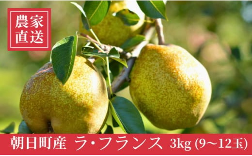 ラ・フランス 洋梨 3kg 9～12玉 秀品 農家直送 山形県 朝日町産 山形産 山形 特産 産地直送 果物 フルーツ ラフランス  秋【11月中旬発送】 - 山形県朝日町｜ふるさとチョイス - ふるさと納税サイト