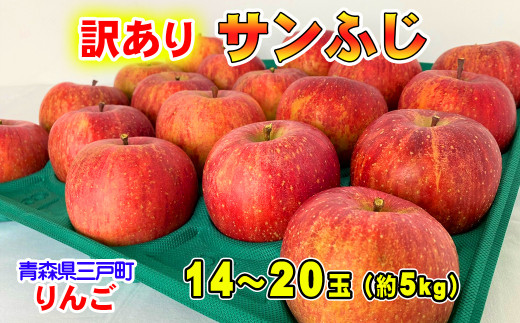 青森県産りんご サンふじ ダンボール入り 約18kg キズ有り