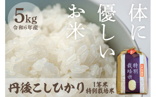 令和6年産 丹後こしひかり 特別栽培米 5kg 白米 お弁当 おにぎり 京都産 京丹後 コシヒカリ ブランド米 久美浜 生産者応援 農家応援 送料無料  MU00044 - 京都府京丹後市｜ふるさとチョイス - ふるさと納税サイト