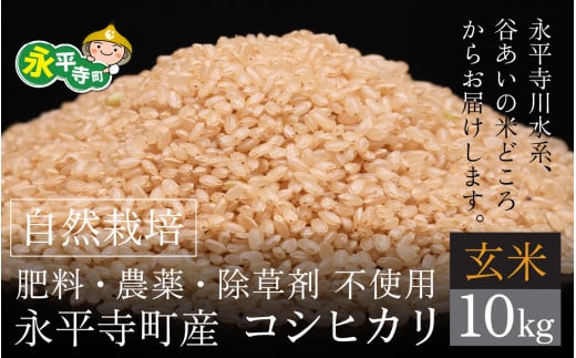 令和6年産 新米】自然栽培米 永平寺町産 コシヒカリ 【玄米】10kg 無農薬 化学肥料 除草剤 不使用 [C-061001] -  福井県永平寺町｜ふるさとチョイス - ふるさと納税サイト