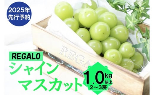 先行受付2024年発送分】 クイーンセブン 3～5房(1.1kg-1.3kg) ぶどう 葡萄 フルーツ 果物 やまなし 山梨 産地直送 富士川町  種無し 皮ごと - 山梨県富士川町｜ふるさとチョイス - ふるさと納税サイト