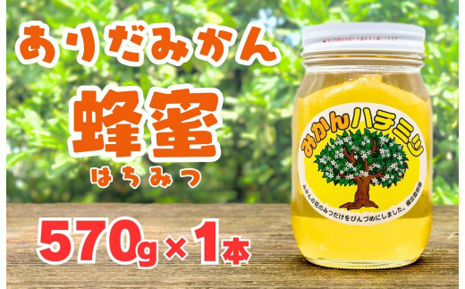 ありだみかん蜂蜜（570g／化粧箱入り） - 和歌山県有田川町｜ふるさと