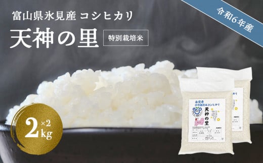 特別栽培米】 令和６年産 富山県産特別栽培米 コシヒカリ 天神の里２kg×２｜ お米 白米 精米 氷見 富山 米 国産 特別栽培 4kg 2kg 2袋  小分け エコファーマー 数量限定 コシヒカリ こしひかり 人気 お取り寄せ 減農薬 減化学肥料 安心 安全 環境にやさしい 農家直送 ...