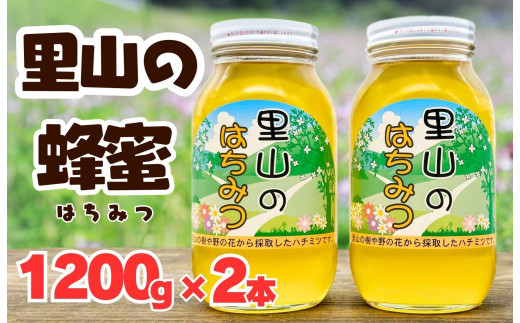 ありだ里山の蜂蜜（1200g×2本セット） - 和歌山県有田川町｜ふるさと