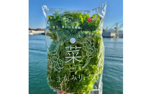 しまなみリーフ8袋 （1袋140gX8袋）2025年11月下旬から発送【野菜