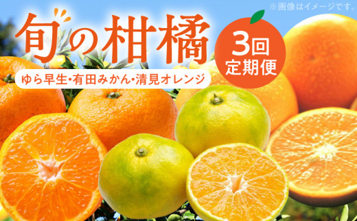 ZD62-T01_旬の柑橘定期便【全3回】 - 和歌山県湯浅町｜ふるさと