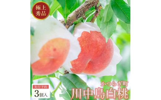 ya̎R쒬zmGin쒆 Hׂ₷3m2026N7珇n _ƌI s\ mKG16n