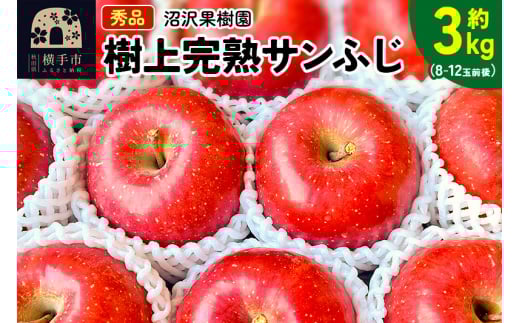 【秋田県横手市】贈り物にもおすすめ!サンフジ 秀品 約3kg(8〜12玉前後)