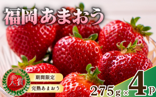 y蒬zy2026N2甭\zs\! ʌ Y ܂ ichigo strawberry itigo 1.1kg 275×4pbN Zbg   C`S t[c ʕ  t {  B 