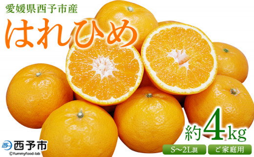 愛媛県西予市産 はれひめ ご家庭用 約4kg＞ 訳あり ワケアリ 不揃い