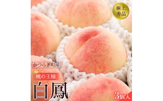 ふるさと納税 先行販売！ 白鳳　桃の王様！食べきりやすい３個入りこだわり農家厳選 【KG17.. 和歌山県高野町