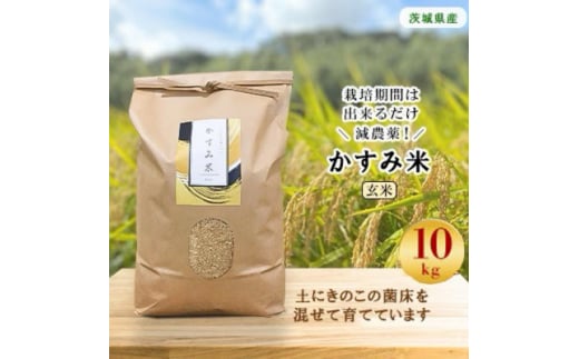 令和7年産新米予約 栽培期間出来るだけ農薬を減らして作った「かすみ米」玄米 10kg【1362136】 - 茨城県潮来市｜ふるさとチョイス -  ふるさと納税サイト