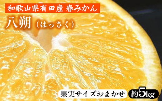 ya̎Rlzi͂jm5kgna̎RLcY t݂yʎTCY܂z b a̎RY k t[c Iɍq{