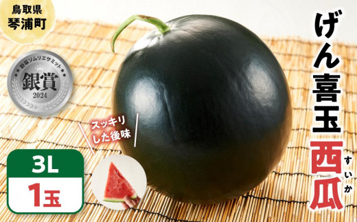 y挧ՉYzys\ 2026N6{ȍ~z  XCJ  Z 3ki1ʁj