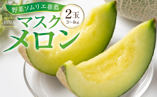 【愛知県田原市】先行予約 数量限定 野菜ソムリエ 推薦 渥美半島伊良湖潮風育ち マスクメロン 2玉 2L〜3L サイズ(3〜4キロ) 箱入り  田原市 伊良湖産 ギフト プレゼント お取り寄せ 渥美半島