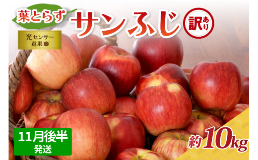 【青森県五所川原市】【2025年11月後半発送】【訳あり】 りんご 約10kg サンふじ 葉とらず 青森