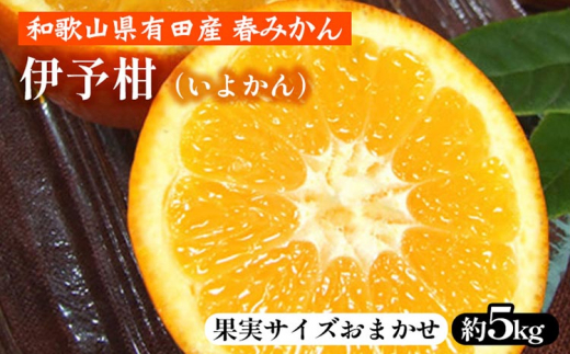 ya̎Rlzɗ\i悩jm5kgna̎RLcY t݂yʎTCY܂z b a̎RY k t[c Iɍq{