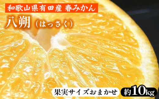 ya̎Rlzi͂jm10kgna̎RLcY t݂yʎTCY܂z b a̎RY k t[c Iɍq{