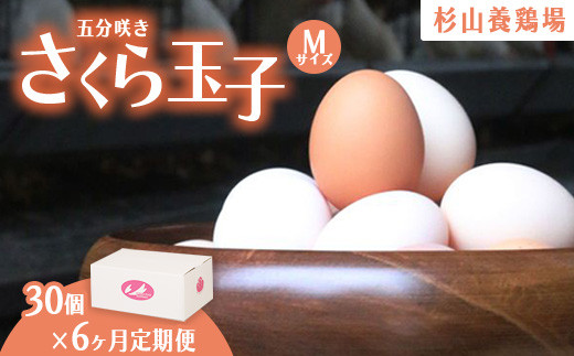 【静岡県御殿場市】【定期便6ヵ月】純国産鶏さくらちゃんが産んだ桜色のさくら玉子 五分咲き(Mサイズ)30個 | 卵 鶏卵 たまご タマゴ 生卵 たまごかけご飯 濃厚 甘み 国産