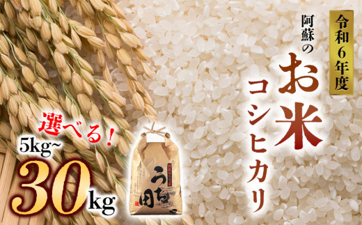 令和6年度産 内田農場の新米 コシヒカリ 5kg～30kg 5kg×1袋 10kg 5kg×2袋 20kg 5kg×4袋 30kg 5kg×6袋 白米  - 熊本県阿蘇市｜ふるさとチョイス - ふるさと納税サイト