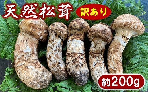 期間限定】 岩手北三陸産 松茸 天然 約200g 国産 松茸訳あり （つぼみ、開き、傷もの等） 【数量限定】 - 岩手県普代村｜ふるさとチョイス -  ふるさと納税サイト