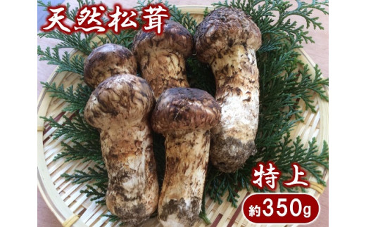 期間限定】 岩手県産 松茸 天然 約350g 国産 【特上】 - 岩手県普代村｜ふるさとチョイス - ふるさと納税サイト