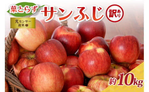 りんご 【選べる配送時期】 【訳あり】 葉とらず りんご サンふじ 10kg 程度 青森 五所川原 青森りんご 葉とらずりんご サンふじりんご リンゴ  林檎 11月 12月 1月 2月 3月 発送 りんご ふじりんご サンフジりんご - 青森県五所川原市｜ふるさとチョイス - ふるさと納税サイト