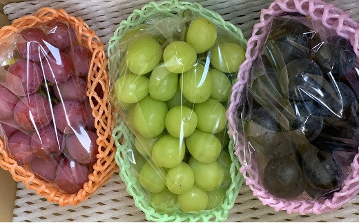 長野市産 ぶどう3種類の詰合せ(ナガノパープル・シャインマスカット