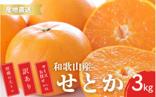 ya̎RI쒬zys\z󂠂 Ƃ a̎R Lc 2S`3LTCY 3kg y2{`3{ɏz/ ݂ t[c ʕ   kyktn015Bz