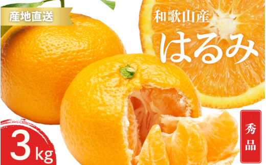 ya̎Rݒzys\zGi ͂ a̎R Lc S`2LTCY 傫C 3kgy1{`3{܂łɏ\z/ ݂ t[c ʕ   kyktn046z