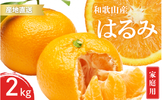 ya̎RI쒬zys\z 󂠂 ƒp ͂ a̎R Lc S`3LTCY 傫C 2kgy1{`3{܂łɏ\z/ ݂ t[c ʕ   kykt