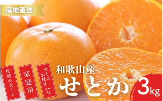 ya̎RI쒬zys\zƒp Ƃ a̎R Lc S`3LTCY 傫C 3kgy2{`3{ɏz/ ݂ t[c ʕ   kyktn014Az