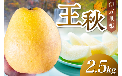 yꌧɖszy ʌ z ɖ H 2.5kg ߘa7NY 113-B852