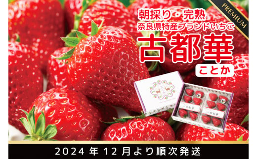 先行予約 朝採り 完熟 12月より順次発送奈良県特産 朝採り高級ブランドいちご「古都華」 // いちご イチゴ 古都華 フルーツ 果物 旬 限定  ブランド 朝採り 完熟 いちご ことか イチゴ 先行予約 古都華 数量限定 古都華 甘い 先行受付 予約 - 奈良県広陵町｜ふるさと ...