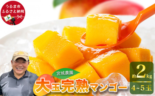 yꌧ܎sz{_̊n}S[@2kgi4~5ʁjy s\ 2026N z