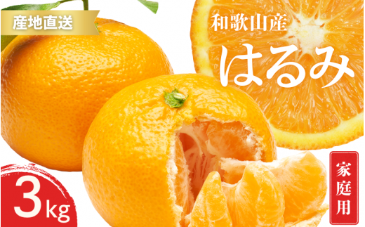 ya̎Rݒzys\z󂠂 ƒp ͂ a̎R Lc S`3LTCY 傫C 3kgy1{`3{܂łɏ\z/ ݂ t[c ʕ   kyktn048