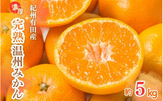 先行予約】紀州有田産 濃厚完熟 温州みかん 5kg ※2025年11月下旬 先行予約】紀州有田産 濃厚完熟 温州みかん 5kg ※2025年11月下旬