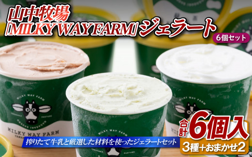 F192 山中牧場「MILKY WAY FARM」ジェラート（6個） - 長崎県佐世保市
