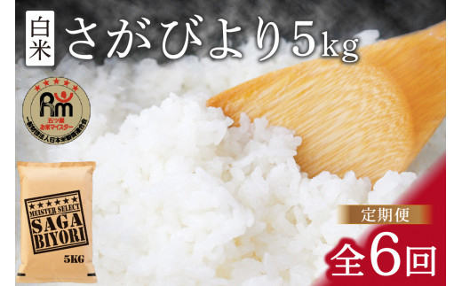 送料込み 精米済み 白米 20kg 6年度産 佐賀県産米 さがびより