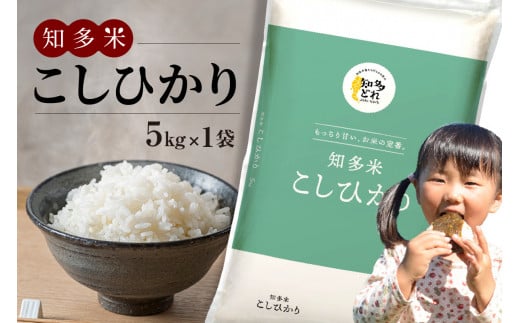 知多米 こしひかり5kg ／ お米 白米 うるち米 コシヒカリ 愛知県 特産品 - 愛知県知多市｜ふるさとチョイス - ふるさと納税サイト