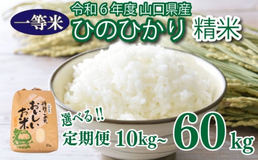 令和4年度米 】玄米 きぬむすめ 10kg 精米可 山口県産 下関市 秋 季節 - 山口県下関市｜ふるさとチョイス - ふるさと納税サイト