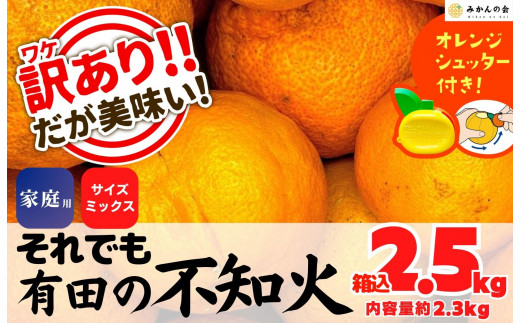 ya̎RLc쒬zsm 󂠂 ł Lc̕sm  2.5kg (eʖ 2.3kg) TCY~bNX a̎RY Ynm݂̉n