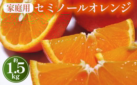 ya̎Rlzys\zyt̔zy_ƒzuJLc@Z~m[IWiƒpj1.5kg b k t[c ʕ  Hi lC  Iׂ Y l