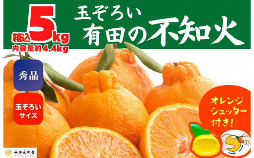 ya̎RLc쒬zsm (ʂ) Gi ʂ낢  5kg (eʖ4.4kg)  a̎RY Ynm݂̉n